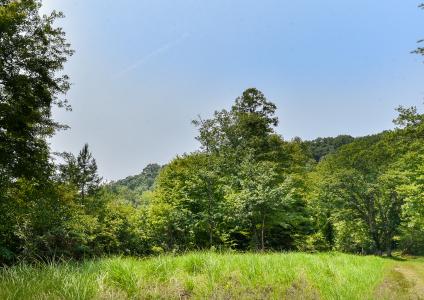 441 The Vines Boulevard #15, Marshall, North Carolina 28753