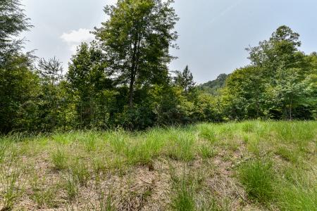 441 The Vines Boulevard #15, Marshall, North Carolina 28753