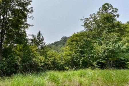 441 The Vines Boulevard #15, Marshall, North Carolina 28753