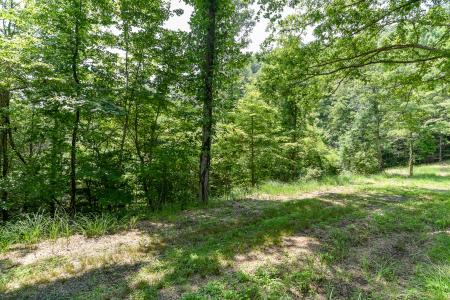 Lot 13 The Vines Boulevard Lot #13, Marshall, North Carolina 28753