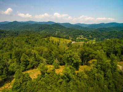 Lot 22 The Vines Boulevard Lot #22, Marshall, North Carolina 28753