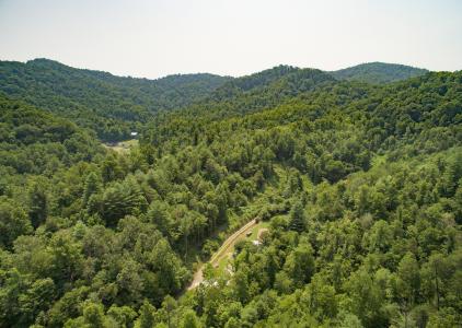 Lot 12 The Vines Blvd. Lot #12, Marshall, North Carolina 28753