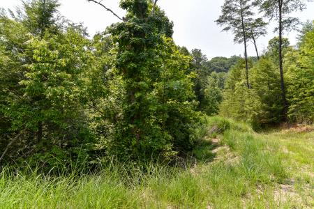 Lot 12 The Vines Blvd. Lot #12, Marshall, North Carolina 28753