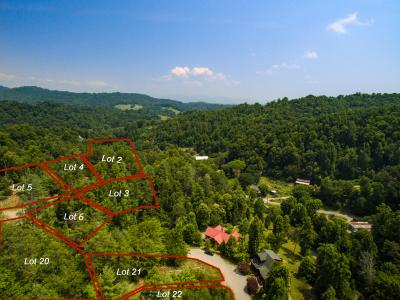 Lot 12 The Vines Blvd. Lot #12, Marshall, North Carolina 28753