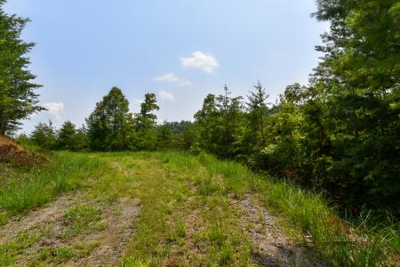Lot 11 The Vines Blvd. Lot #11, Marshall, North Carolina 28753