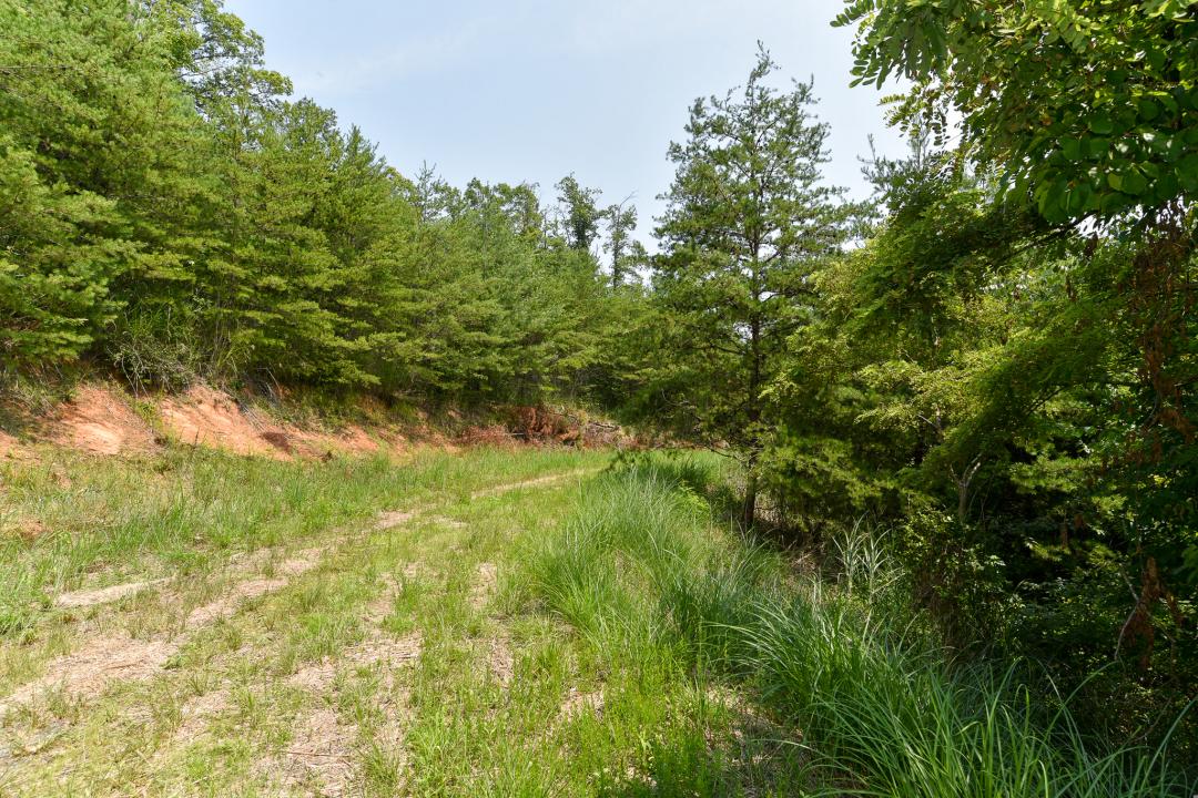 Lot 9 The Vines Boulevard, Marshall, North Carolina 28753