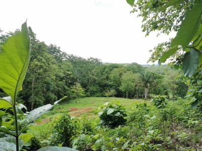 Parrita Parrita, Puntarenas 60901, 코스타리카