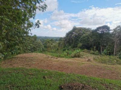 Parrita Parrita, Puntarenas 60901, 코스타리카