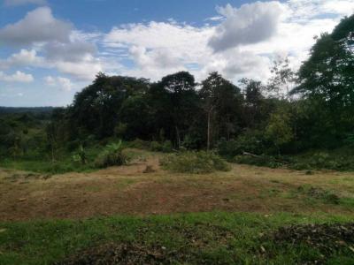 Parrita Parrita, Puntarenas 60901, 코스타리카