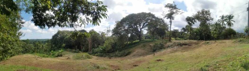 Parrita Parrita, Puntarenas 60901, 코스타리카