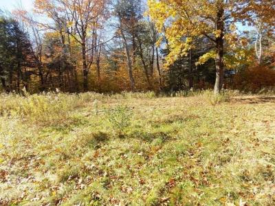 35 Arrowhead Ln, Becket, ماساتشوستس 01223, الولايات المتحدة