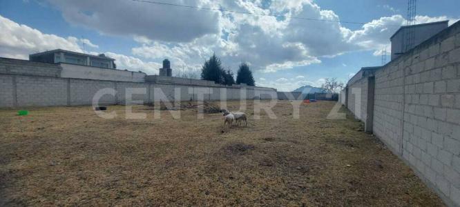 Av Benito Juárez SN,, Xaloztoc, Tlaxcala 90460, Mexique