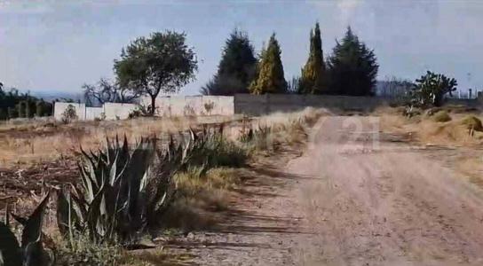 Av Benito Juárez SN,, Xaloztoc, Tlaxcala 90460, México