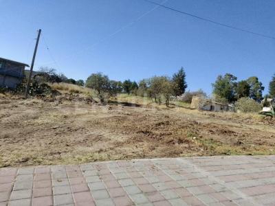 COLHUACA SN,, Tzompantepec, Tlaxcala 90490, México