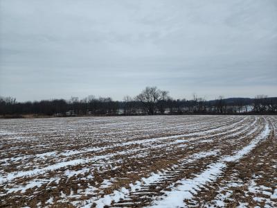 Cemetery Road, Milton, 宾夕法尼亚州 17847, 美国