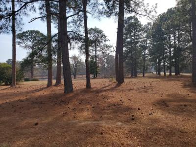 2 Buckingham Blvd, Sumter, South Carolina 29153