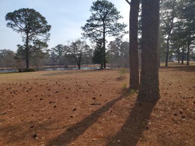 2 Buckingham Blvd, Sumter, South Carolina 29153