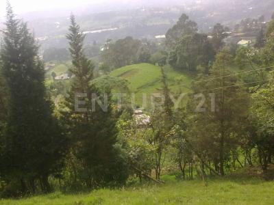 Cachipay, Cundinamarca 00001, Colombia