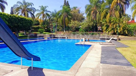 Galatea s/n,, Cuernavaca, 莫雷洛斯 62330, 墨西哥