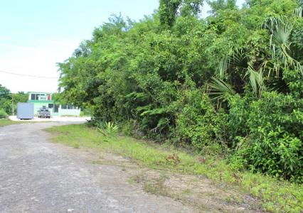 Corozal District, Corozal 00001, بيليز