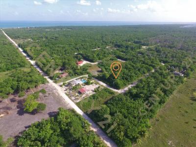 Corozal District, Corozal 00001, بيليز