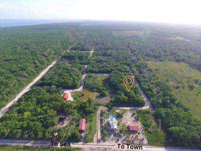 Corozal District, Corozal 00001, بيليز