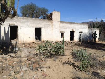 Tierra Nueva, San Luis Potosi 79594, Mexiko