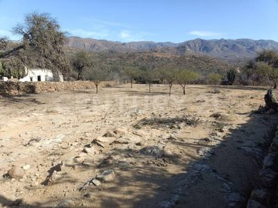Tierra Nueva, San Luis Potosi 79594, Mexique