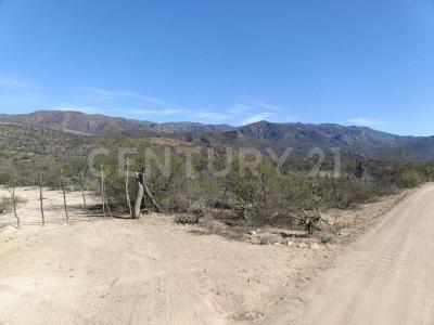 Tierra Nueva, San Luis Potosi 79594, Mexique
