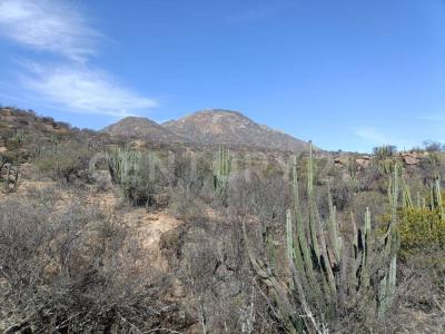 Tierra Nueva, San Luis Potosi 79594, Mexique