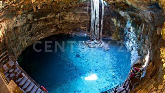 Ruta de los Cenotes Parcela 83,, Puerto Morelos, Quintana Roo 77580, Mexico