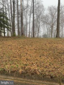 Lot 42 Bay Pointe Drive, Montross, Virginia 22520