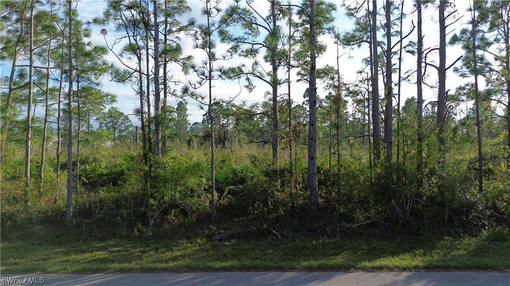 12157 Terkelsen Avenue, Port Charlotte, Florida 33981