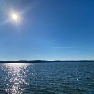 0 Cooper Rd., Killen, Алабама 35645, Соединенные Штаты