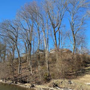 0 Cooper Rd., Killen, Алабама 35645, Соединенные Штаты