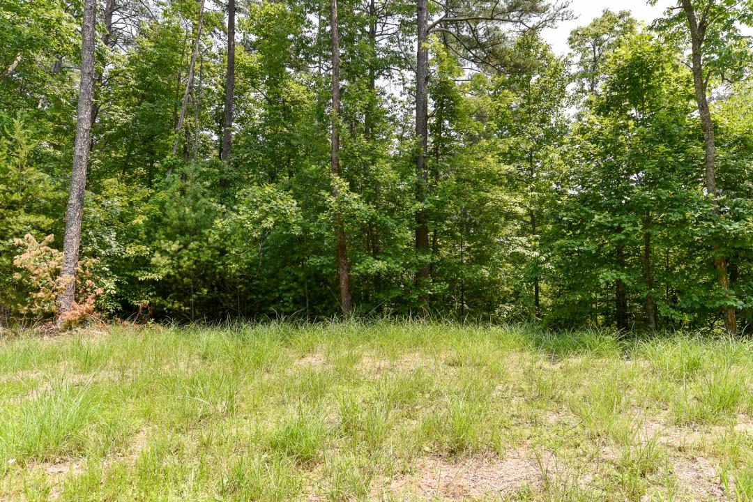 Lot 4 The Vines Boulevard, Marshall, North Carolina 28753