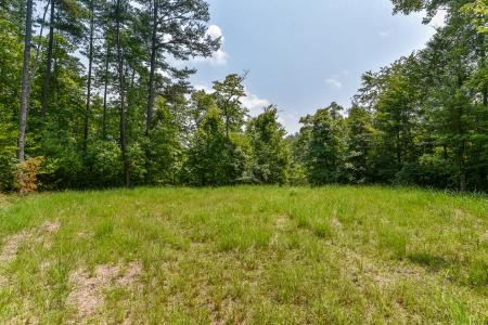 Lot 4 The Vines Boulevard, Marshall, North Carolina 28753