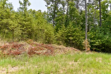 Lot 4 The Vines Boulevard, Marshall, North Carolina 28753