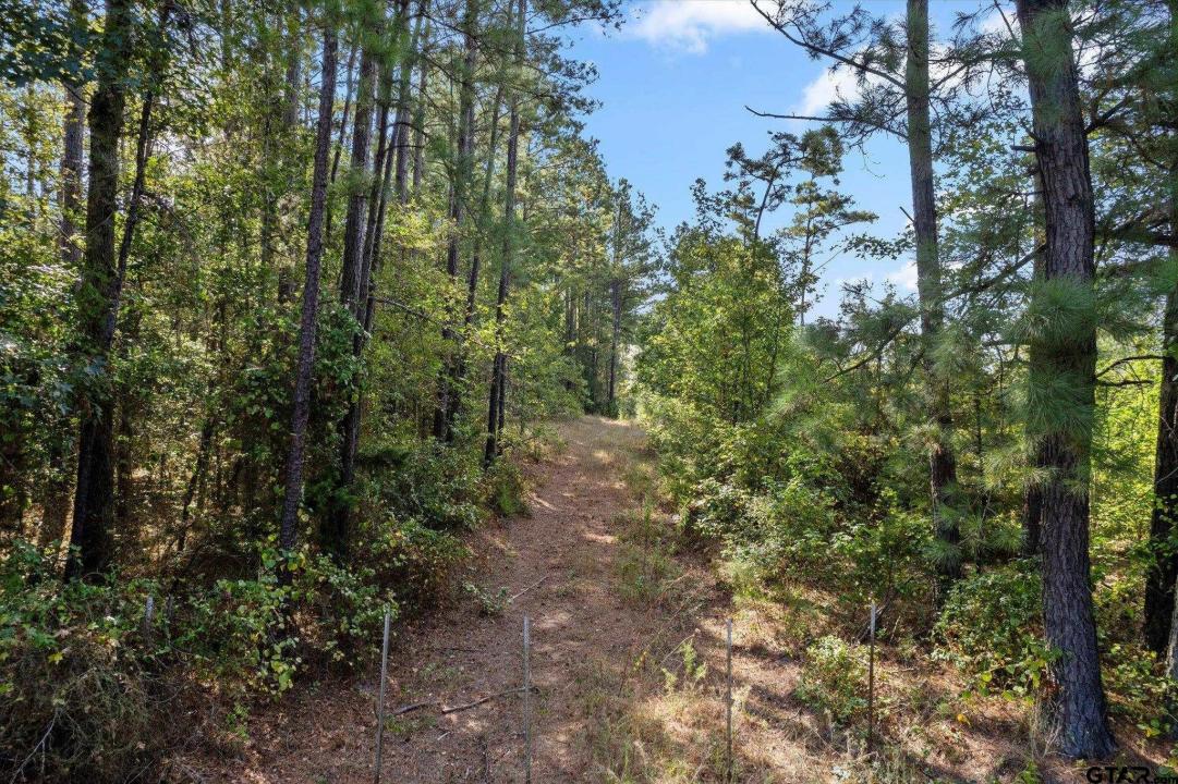 FM 130, Hughes Springs, Texas 75656, Estados Unidos