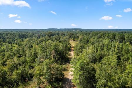 FM 130, Hughes Springs, Texas 75656, Estados Unidos