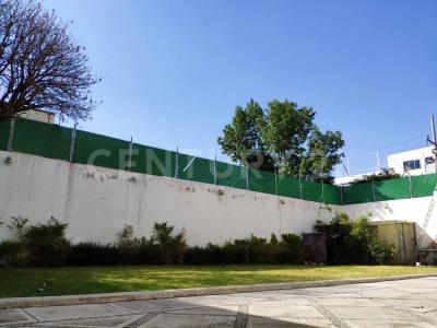 Tiziano 94,, Alvaro Obregón, Ciudad De México 01460, Mexique