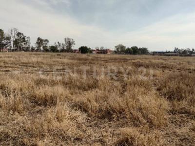 Calle Publica S/N,, Zumpango, Estado De México 55635, Mexico