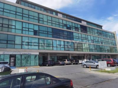 Monterrey, Nuevo León 64600, Messico