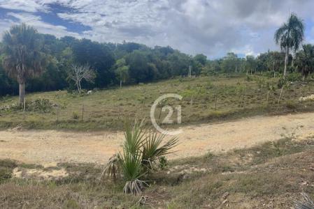 Excellent lot for sale in a quiet and safe area., Sosúa, Puerto Plata 57000, República Dominicana