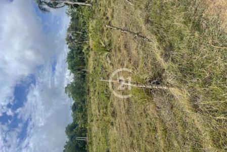 Excellent lot for sale in a quiet and safe area., Sosúa, Puerto Plata 57000, República Dominicana