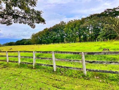 Coyol Alajuela, Alajuela 00001, Costa Rica