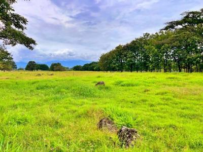Coyol Alajuela, Alajuela 00001, Коста-Рика