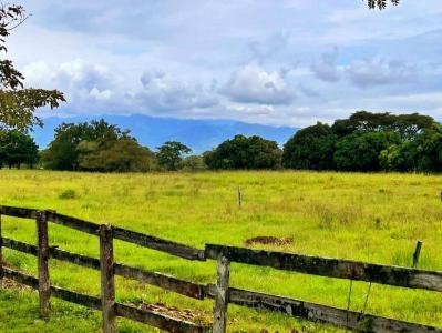 Coyol Alajuela, Alajuela 00001, Коста-Рика