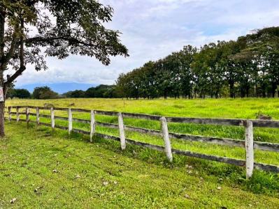 Coyol Alajuela, Alajuela 00001, Коста-Рика