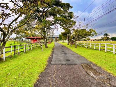 Coyol Alajuela, Alajuela 00001, Коста-Рика